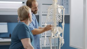 Male doctor pointing at human skeleton to show spinal cord and explain mechanical disorders in rehabilitation cabinet. Specialist explaining back bones system for physical therapy.